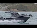 745SC White Pointer - Power Meets Precision