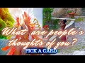 Download Lagu PICK A CARD 📬 WHAT ARE PEOPLES THOUGHTS OF YOU RIGHT NOW? 🤔💭