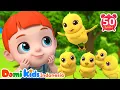 Download Lagu Lima Anak Ayam 🐤 Lagu Anak Mengenal Angka \u0026 Binatang | Domi Kids Kumpulan Lagu Pesta Anak-anak
