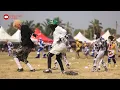 EGYA(NO 2) Performing High Life (2024 WINNEBA FANCY DRESS) #masquerade #winneba