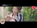 Download Lagu Lirik A love Song For You - Rio Wang 汪睿 | Love is Sweet OST 半是蜜糖半是伤