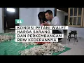 Download Lagu KONDISI PETANI WALET, HARGA SARANG DAN PERKEMBANGAN RBW KEDEPANNYA