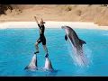 Download Lagu Sea World Dolphin Tricks