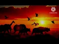 Diviners - Savannah - Lyrical (Upgraded) | (feat. Philly K) [NCS Release]