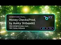 Money Checks(Prod. by Hukky Shibaseki) - NOWIMYOUNG,Fleeky... (KY.51020) / KY KARAOKE