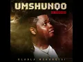 Dladla Mshunqisi Feat.Sizwe Mdlalose, Assiye Bongzin,Dj Tira  - Uphetheni Esandleni (Official Audio)