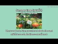 ลมแล้ง|Summertime - Yew (feat.LANDOKMAI) english lyrics/เนื้อเพลงภาษาอังกฤษ