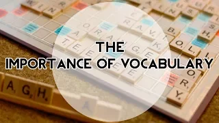 The Importance of Vocabulary: Words & Phrases as a Measure of Progress