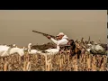 Deadly Decoys Inc Snow Goose Decoys
