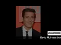 David Muir biography