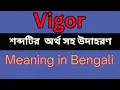 Vigor Meaning In Bengali Vigor mane ki
