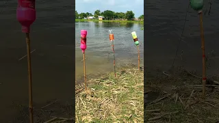 Fishing Video - MR Fishing Life
