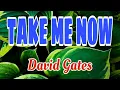Download Lagu DAVID GATES \