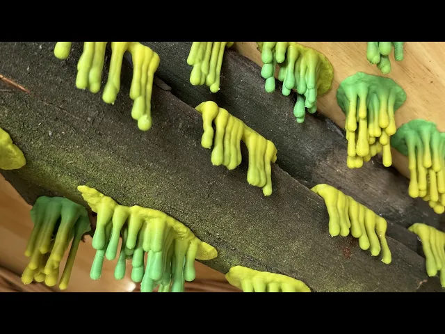 Slime Pack video thumbnail