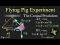 Flying Pig Uniform Circular Motion and Centripetal Force