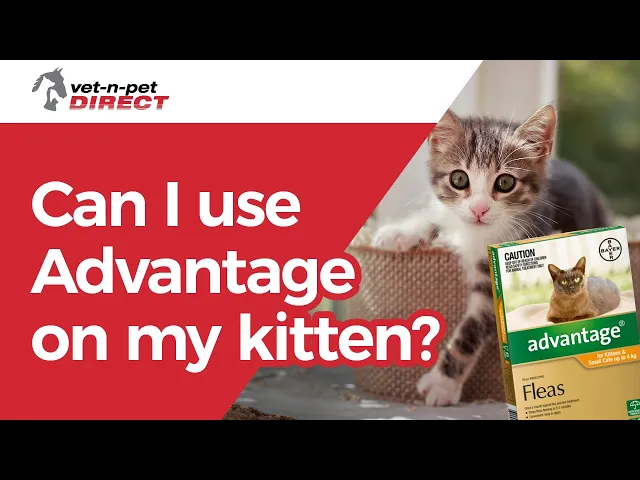 Advantage for Cats & Kittens Up to4kg