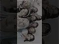 Download Lagu PRESET || Bila musim berganti sampai waktu berhenti walau dunia membenci ku kan tetap di sini :)