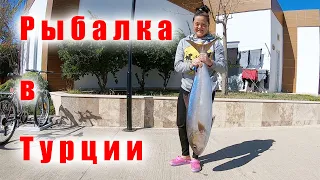 Что ловят в Турции? Фильтр соленой воды Volvo Penta: подводные камни.