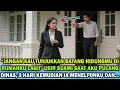 Lagu 3 HARI SETELAH SUAMI MENGUSIRKU, KUBUAT IA MENYESAL DAN MENGEMIS PADAKU #novelromantis #drama
