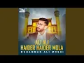 Download Lagu Ali Ali Haider Haider Mola
