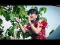 Download Lagu NYANYIAN RINDU || SABILA PERMATA NEW PALLAPA (OFFICIAL LIVE MUSIC)