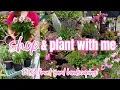 Summer Garden Shop and Plant With Me Outdoor Summer Decor 2024 Summer Garden Reset