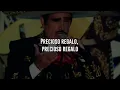 HERMOSO CARIÑO - Vicente Fernández (LETRA)