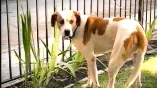 Pet Smart Television Commercial 2008