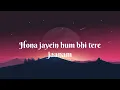 JAANAM || LYRICS || VISHAL MISHRA || BAD NEWZ || LETEST BOLLYWOOD SONGS ||