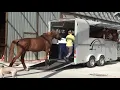 Cheval Liberte 4 Horse Trailer Maxi4