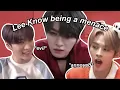 Lee Know being the MENACE of Stray Kids