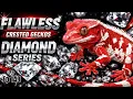 Lagu Diamond Series Ep. 149 | Why This Red \u0026 White Gecko Stands Out