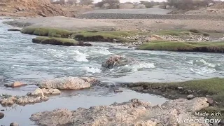 اجمل اغنية اجنبية هادئة فى صفصاف مدينة خشم القربة 