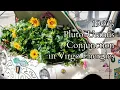 1960 s Uranus-Pluto Conjunction In Virgo - Breaking Lifetimes Of Cycles