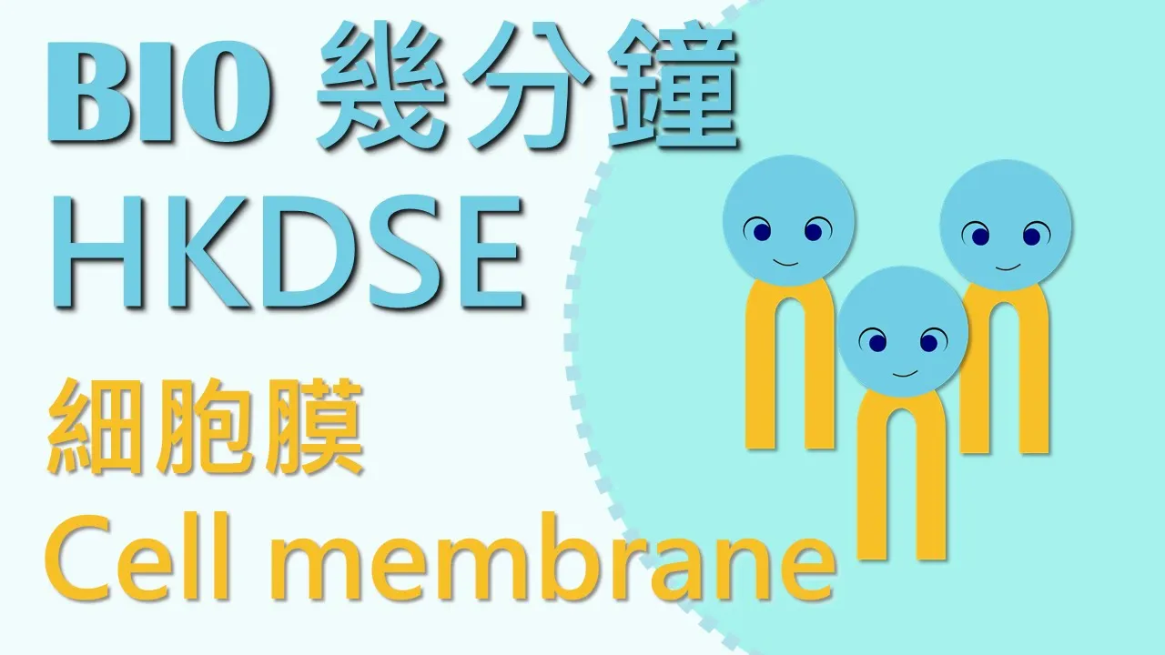 HKDSE 生物 | BIO 幾分鐘系列 | 細胞膜 Cell Membrane | (廣東話版) | By Biology Man