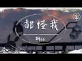 Lagu 胡66 - 都怪我【動態歌詞】「我怎麼忘也忘不掉 偽裝我從沒受過傷」♪