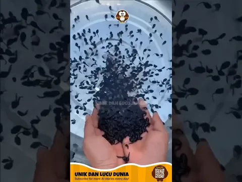 bikin geli #hewanbesar #faktaunik #shortvideo #faktaunik #animals #facts