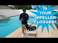 How to Unclog Your Pool Pump Impeller and warning signs