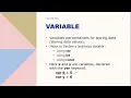 What are Developer Tools Variables in Java Script In