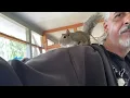 Squirrel Wake Up Time