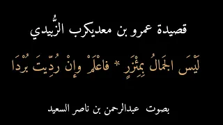 قصيدة عمرو بن معديكرب   ليس الجمال بمئزر دندنها
