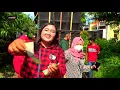 Download Lagu ANDI PUTRA 1 GUGUR VOC SEPTI  DESA BUGIS BLOK BEDENG KEC ANJATAN INDRAMAYU