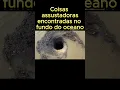 Download Lagu #curiosidades #curioso #fatos #misterio #vocesabia #fatoscuriosos #terror #misterios #oceano #animal