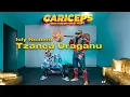 Download Lagu Dani Mocanu x Alex Velea x Tzanca Uraganu x Iuly Neamtu -  Cariceps 🍌
