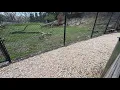 Toddler injured after wandering into wolf enclosure at Hershey Park zoo