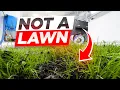 Download Lagu I Went From Groundskeeper to Rug Cleaner In One Rug! Satisfying ASMR Timelapse.