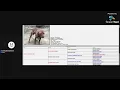 BREAKING DOWN THE AMERICAN PITBULL TERRIER PEDIGREE