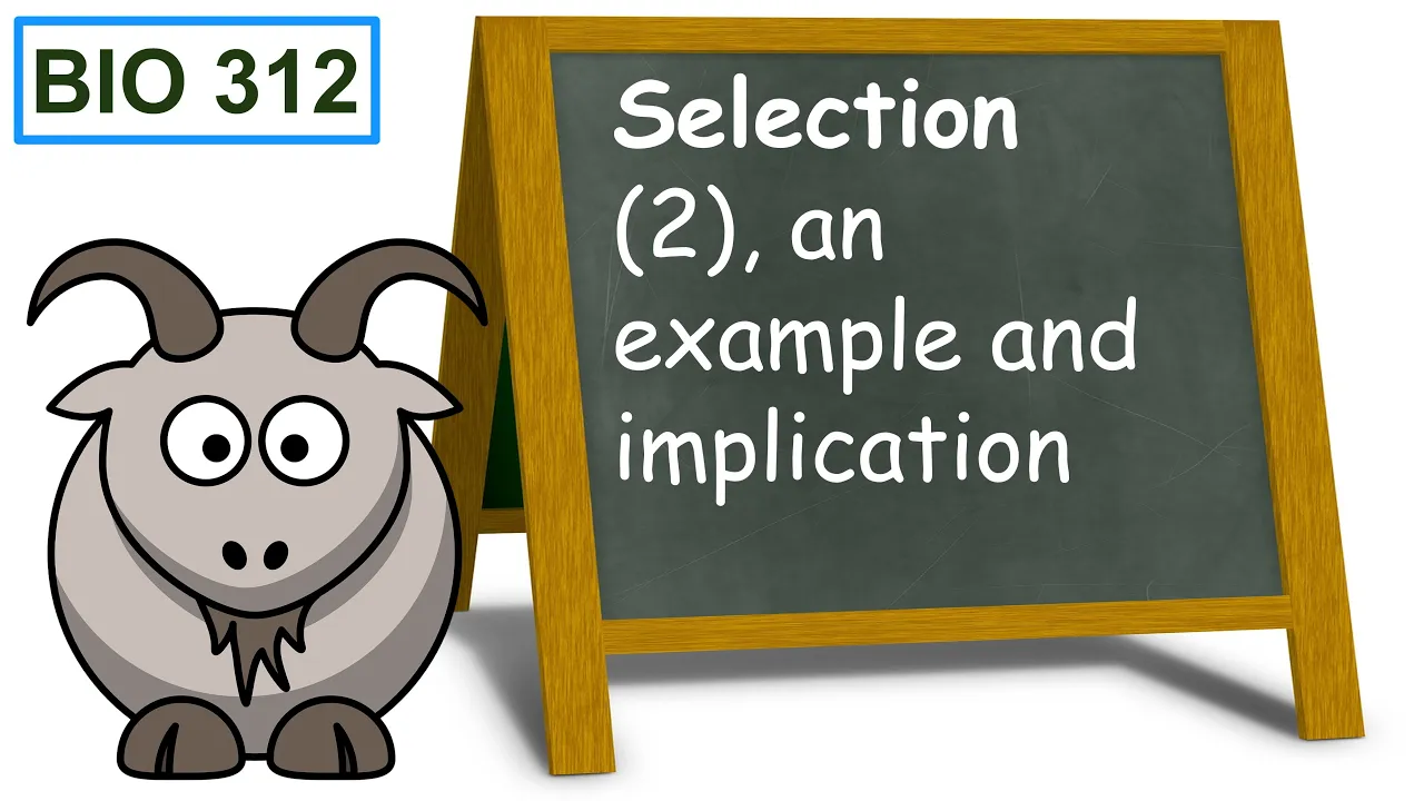 Selection (2), an example and implication.