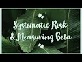 Systematic risk and measuring beta