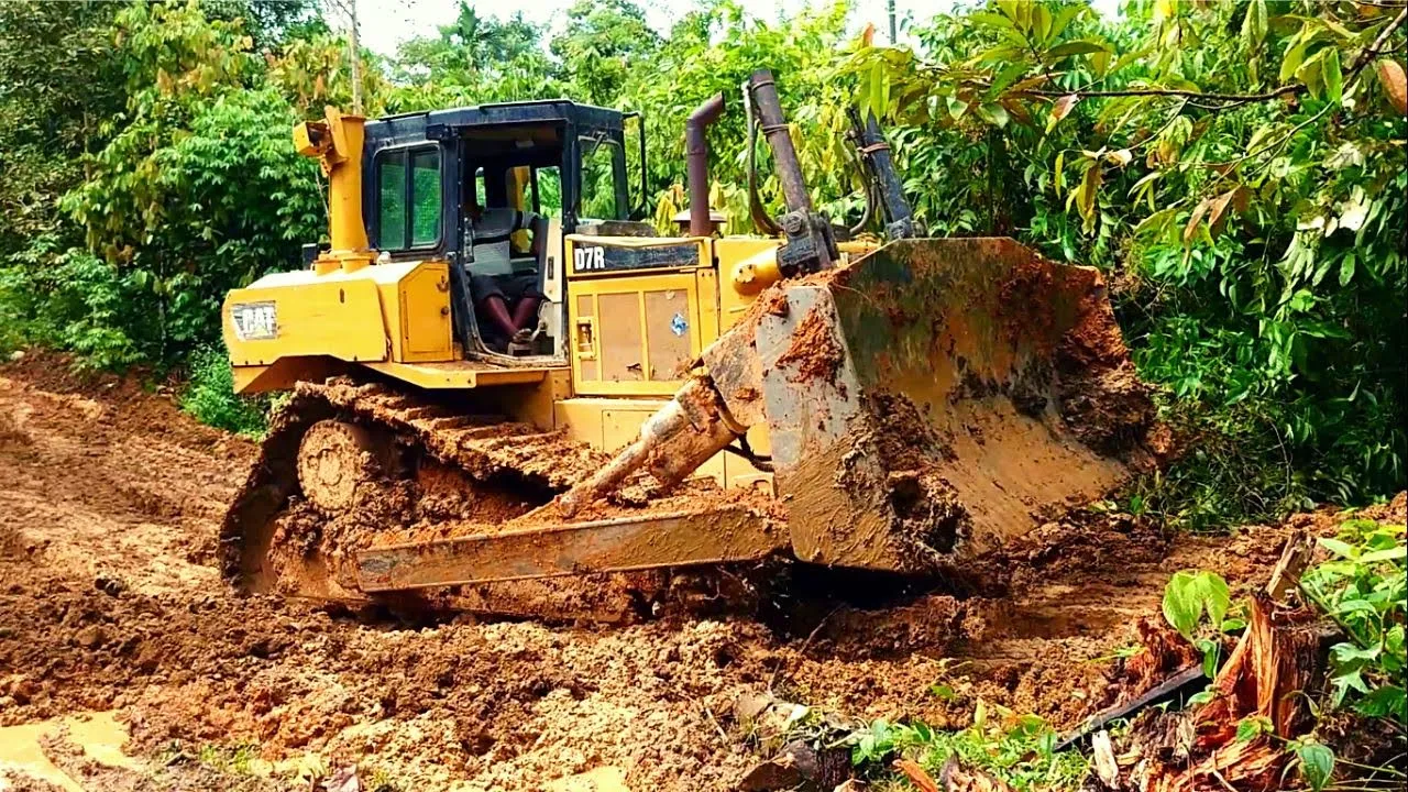 The Easiest Way To Clean Abandon Plantation Using Dozer - Dozer Got Stuck Day 3